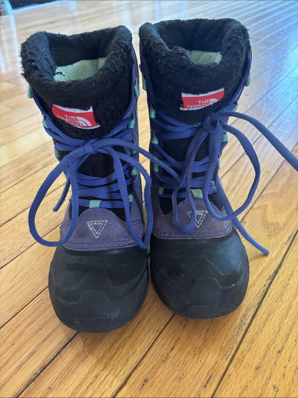The North Face Shellista Waterproof Suede Purple and Black Kids Winter Boots
